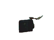 894A506P01