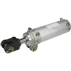 CKG1A50-150YAZ-M9BSAPC-X1515