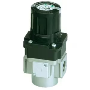ARG20-N02G5H-X2124C