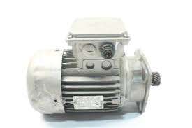 275225305