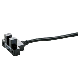 EE-SPX405-W2A-2M