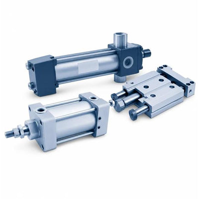 P81013214012-03004