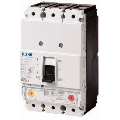 NZMN1-M80